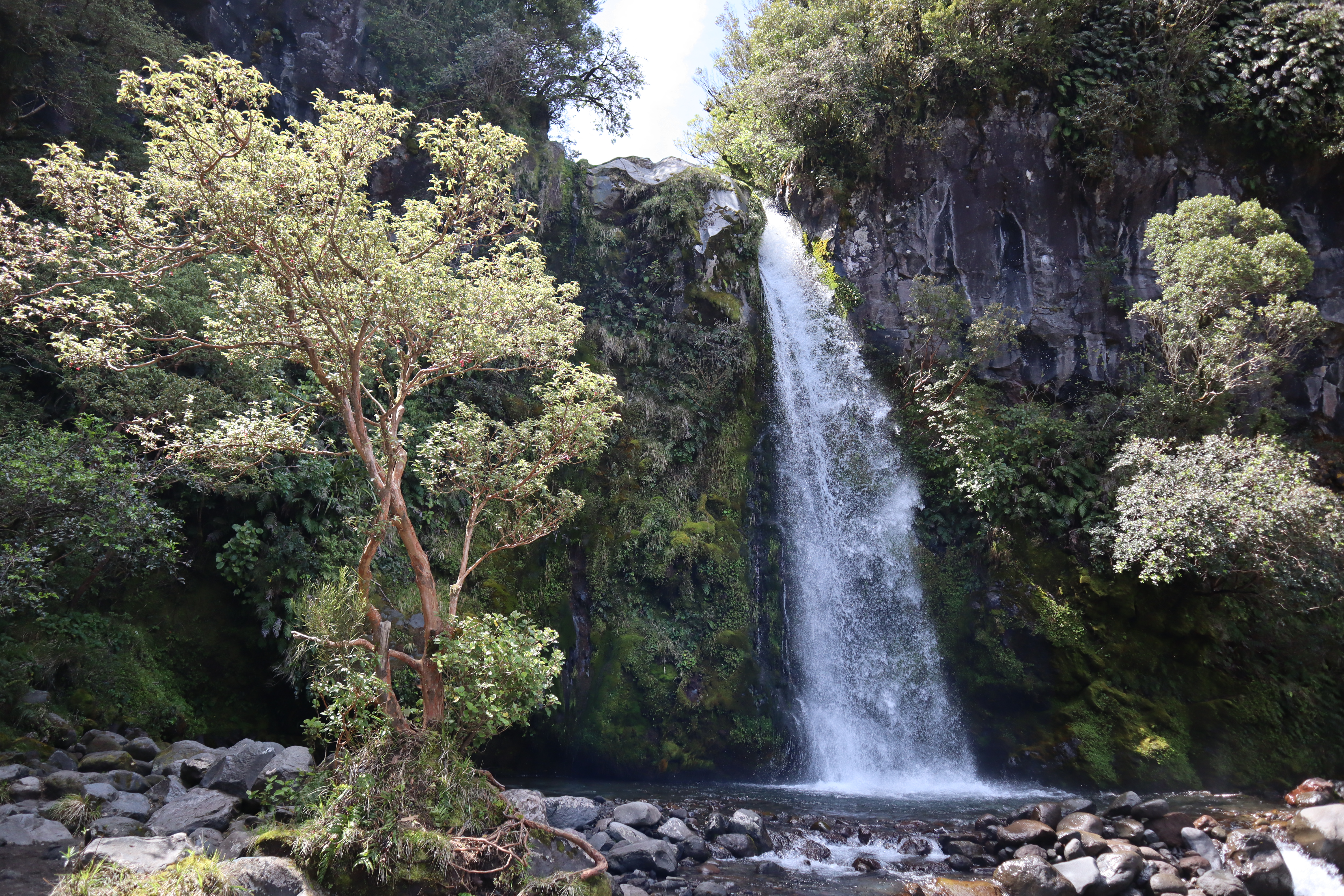 Dawson Falls